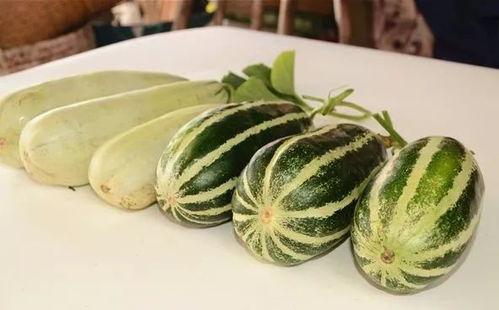 吃瓜网红网站免费入口